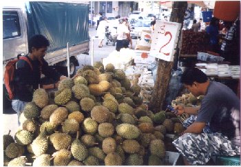 bugis2002