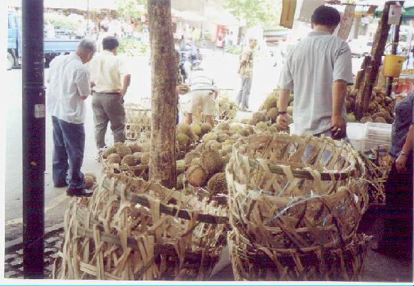 bugis
